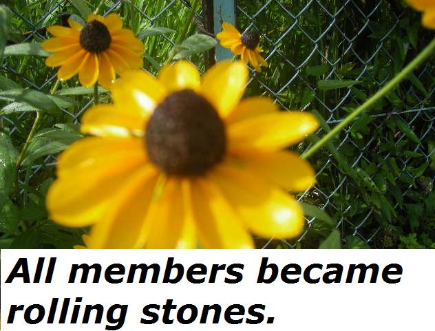 all.members.became.rolling.stones.jpg