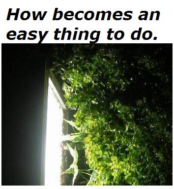 how-becomes-an-easy-thing-to-do.jpg