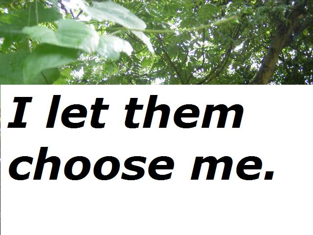 i.let.them.choose.me.jpg