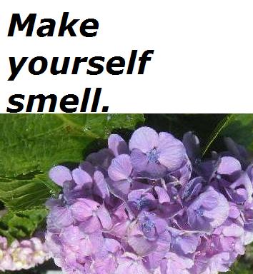 make-yourself-smell.jpg