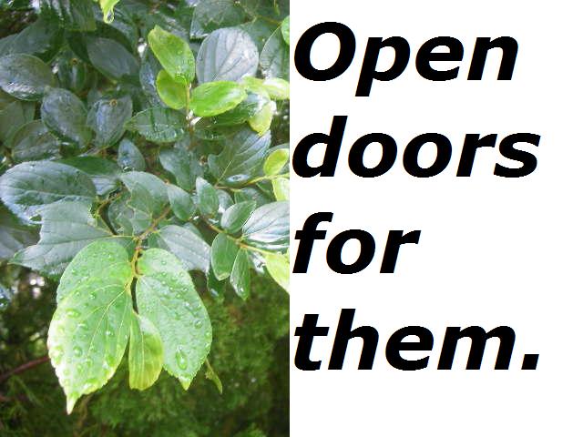 open.doors.for.them.jpg