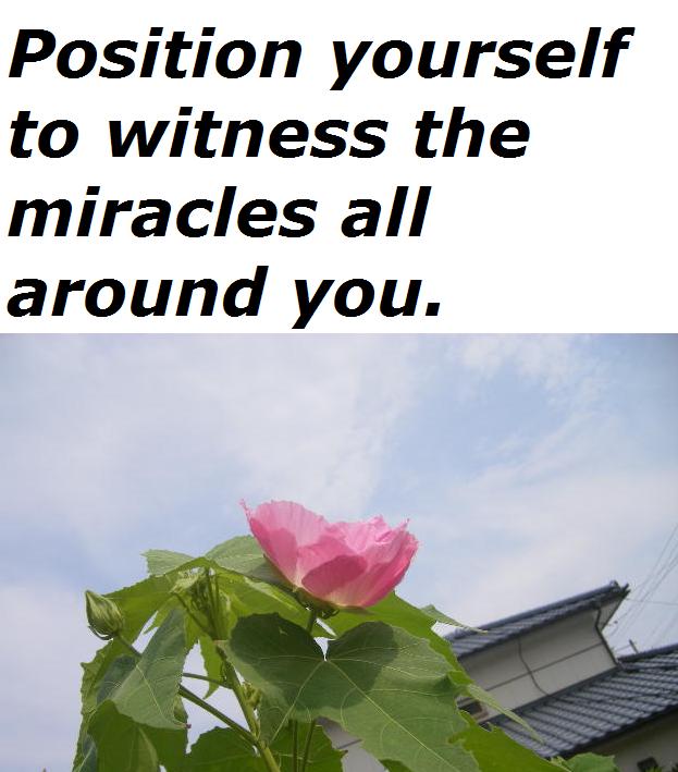 position-yourself-to-witness-the-miracles-all-around-you.jpg
