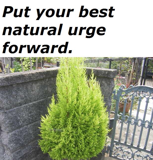 put-your-best-natural-urge-forward.jpg