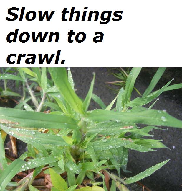 slow-things-down-to-a-crawl.jpg