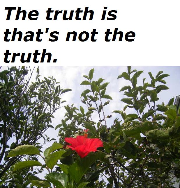 the-truth-is-thats-not-the-truth.jpg